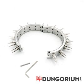 Stachelhalsband mit 2 Reihen Stacheln