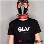 SLV T-Shirt Dungorium 