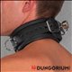 Halsband aus Leder abschließbar