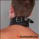Halsband aus Leder abschließbar