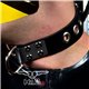 Mister B Rubber Slave Collar