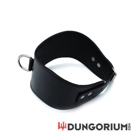 Schwarzes Lederhalsband mit D-Ring -8721284280323