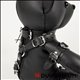 BDSM Teddy aus Leder