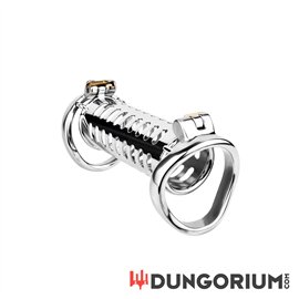 Keuschheitskäfig für 2