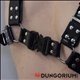 Taktisches Rubber Harness mit Schnallen
