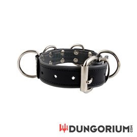 Mister B Leder Sklavenhalsband mit 4 D-Ringen 