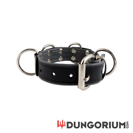 Mister B Leather Slave Collar 4 D-Rings 