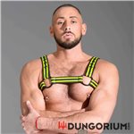 Neopren Bulldog Harness 