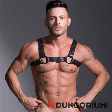 Streamline Bulldog Harness 