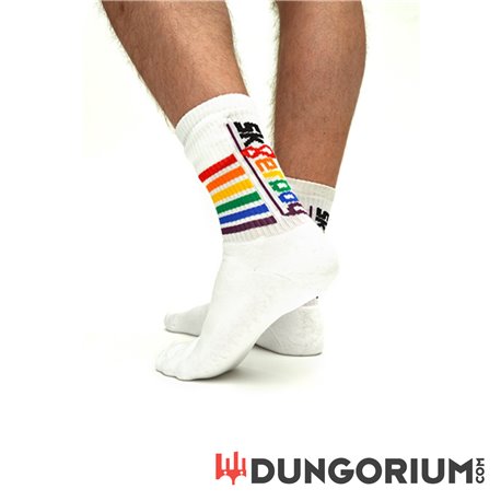 Sk8terboy Pride Socks 