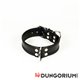 Mister B Leder Sklavenhalsband mit D-Ring 