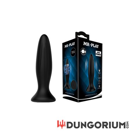 Vibrierender Anal Plug von Mr. Play 
