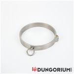 Edelstahl Halsfessel mit O-Ring und Steckschloss